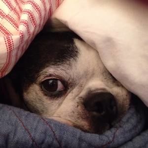 Meet your Posher, Cindy